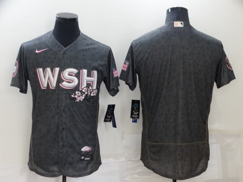 Nationals Blank Gray Nike 2022 City Connect Flexbase Jersey